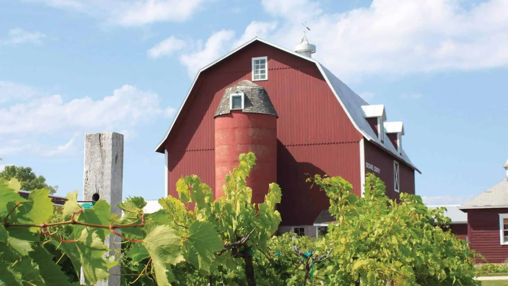 Ephraim Shores Resort Door County Winery Tours