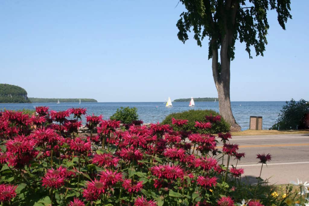 Eagle Harbor