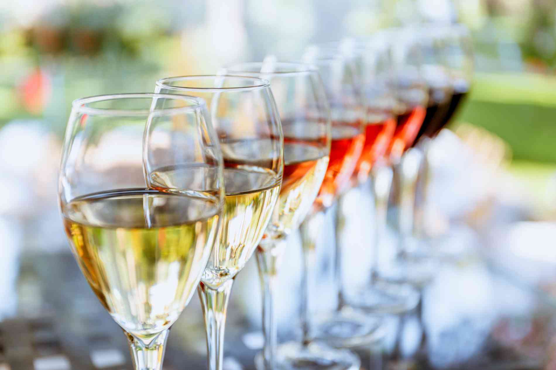 Ephraim Shores Resort wine tours in Door County